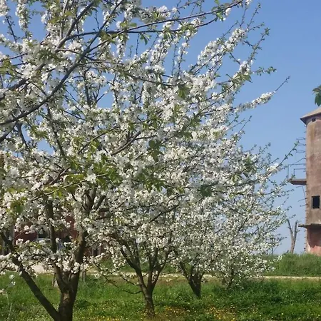 Pousada Exquisite Retreat In Segni