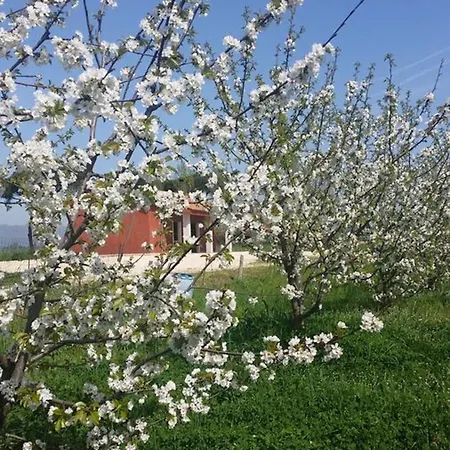 Villa Exquisite Retreat In Segni *